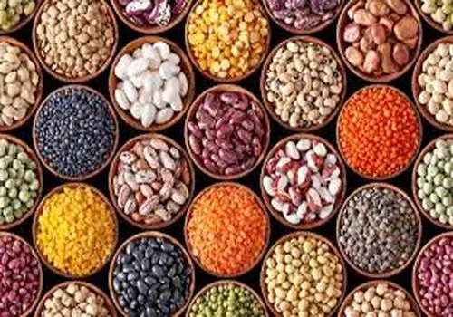 اختلاف چشمگیر قیمت کالاهای اساسی در تهران؛ گزارش بانک مرکزی از نوسانات بازار