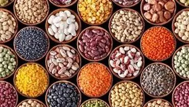 اختلاف چشمگیر قیمت کالاهای اساسی در تهران؛ گزارش بانک مرکزی از نوسانات بازار