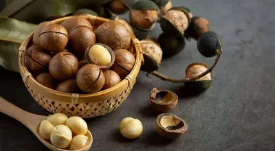 چگونه تلخی فندق را با روش‌های ساده از بین ببریم؟