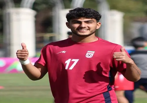عکس جذاب و تازه ترلان پروانه با تم سیاه و سفید