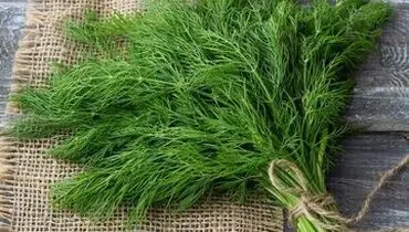 خواص باورنکردنی این سبزی متعجبتان می کند!