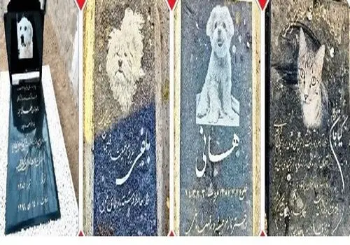 از گیاهان تا حیوانات خانگی: چگونه با عوامل آلرژی‌زا در خانه مبارزه کنیم؟