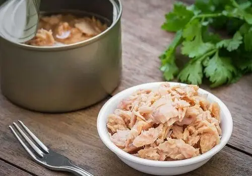 خوردن روزانه ماهی تُن چقدر خطرناک است؟
