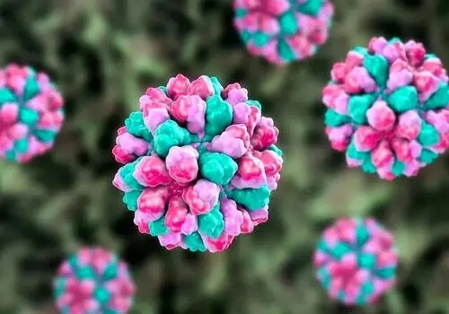 مینو محرز هشدار داد: از خانه خارج نشوید