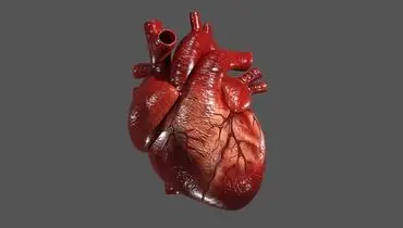  توصیه طب ایرانی برای تقویت قلب 