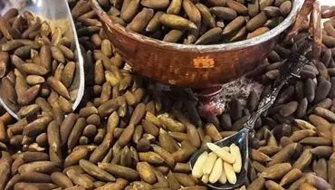 روش استخراج چلغوز از طبیعت! +فیلم