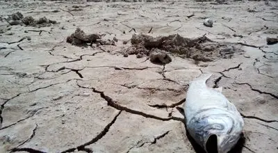 تالاب‌های ایران در آستانه تاریخ! شمارش معکوس برای فراموشی کامل ۹ منطقه حیاتی محیط زیست