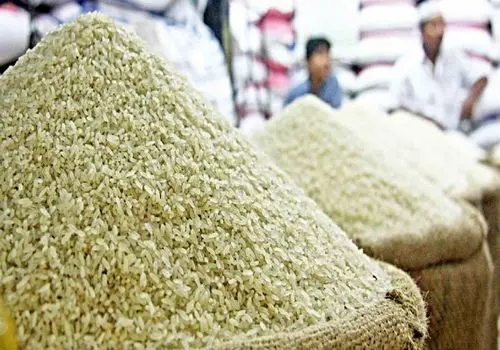  بازار برنج در مسیر تعادل