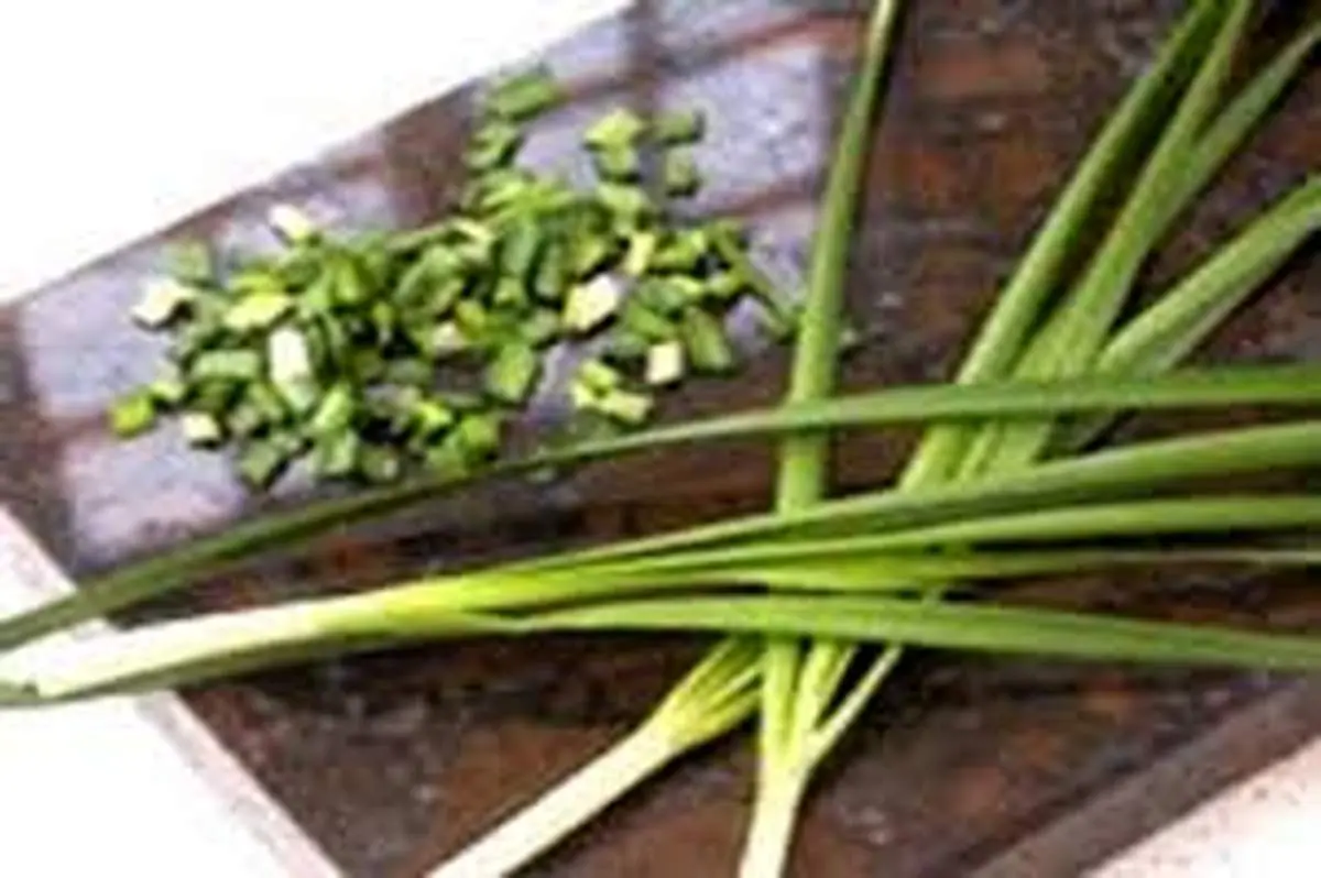 خواص درمانی  سبزی تره از بهبود تنفس تا تسکین درد مفاصل