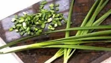 خواص درمانی  سبزی تره از بهبود تنفس تا تسکین درد مفاصل