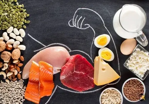 پروتئین مورد نیاز روزانه در افراد مختلف چقدر است؟