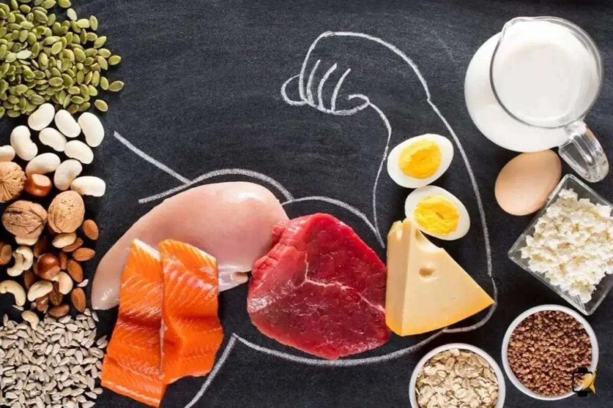 بدن ما روزانه چه مقدار پروتئین نیاز دارد؟
