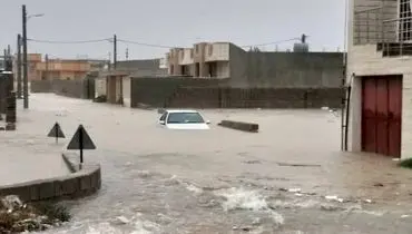 سیلاب در پارسیان ۲۰۶ را با خود برد+ فیلم