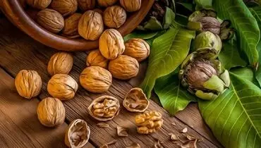اگر این خاصیت گردو را بدانید هر روز مصرفش میکنید