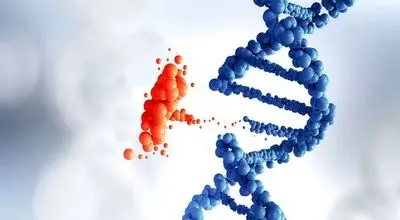 چگونه ژنتیک مولکولی می‌تواند در درمان بیماری‌ها مؤثر باشد؟
