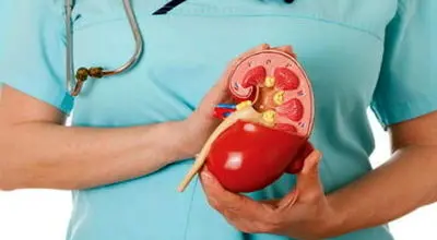 دشمن اصلی کلیه را بشناسید