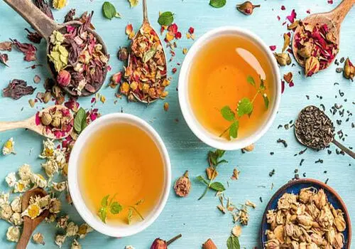 خواص عجیب کلم برای سلامت معده را بدانید
