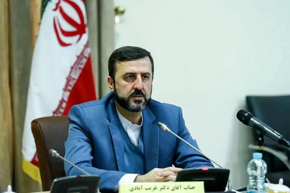 غریب‌آبادی: فعلا زود است آژانس را وارد مذاکرات کنیم
