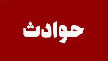 سقوط مرموز هواپیمای نظامی پر از پول نقد؛ نخستین تصاویر منتشر شد + فیلم