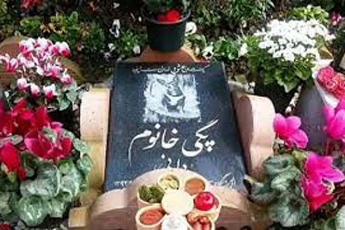  قبرستان حیوانات خانگی در ایران اینترنت را منفجر کرد + فیلم