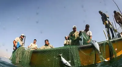 پایان نگرانی؛ ۱۰ صیاد لنگه‌ای به آغوش خانواده بازگشتند