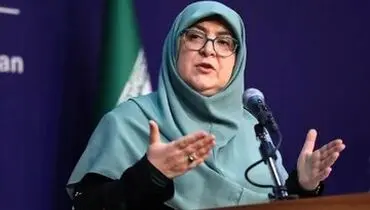 واکنش سخنگوی دولت به موضوع سرمایه گذاری شرکت‌های آمریکایی در ایران