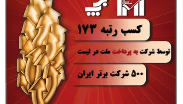 رتبه 173 شرکت به‌پرداخت ملت در میان 500 شرکت برتر ایران