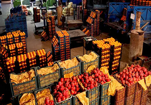 میوه تنظیم بازار شب عید ذخیره شد
