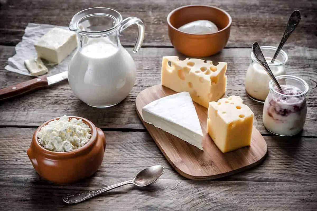 تاثیر لبنیات بر سنگ کلیه 