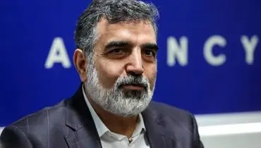 کمالوندی: بحث اصلی این است که خودمان بتوانیم راکتورساز باشیم