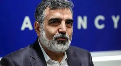 کمالوندی: بحث اصلی این است که خودمان بتوانیم راکتورساز باشیم