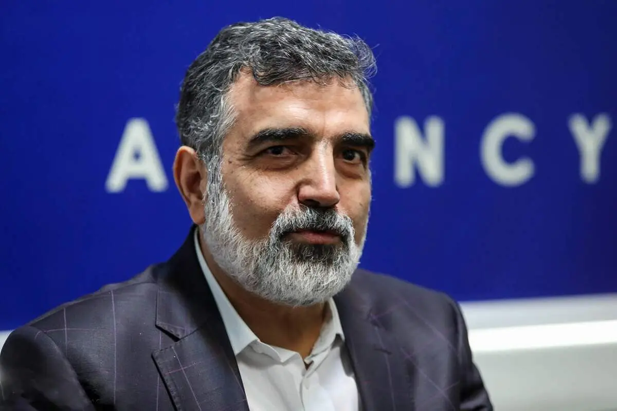 کمالوندی: بحث اصلی این است که خودمان بتوانیم راکتورساز باشیم