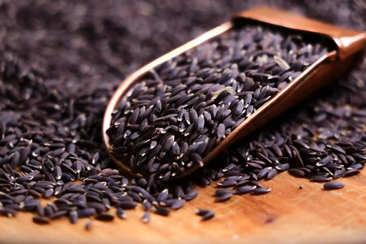 خواص تخم کتان برای لاغری