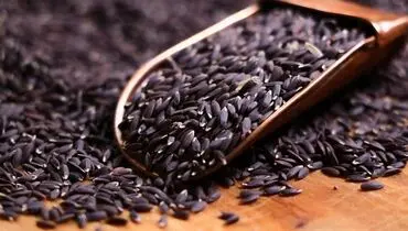 خواص تخم کتان برای لاغری