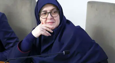 مهاجرانی: آیین‌نامه حمایت از بازگشت نخبگان خارج از کشور تصویب شد