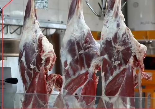 قیمت گوشت قرمز امروز ۲۶ آبان 1404 + جدول