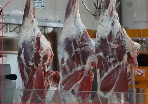 قیمت گوشت قرمز امروز ۲۸ آبان ۱۴۰۴