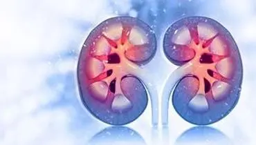 داروی دیابت روند پیری کلیه را کُند می‌کند
