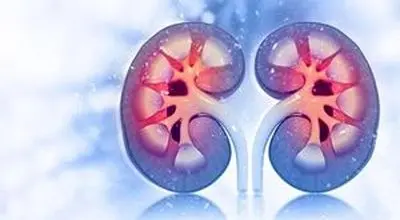 داروی دیابت روند پیری کلیه را کُند می‌کند
