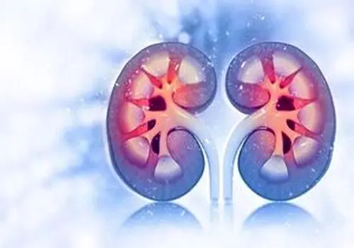 دشمن خاموش کلیه را بشناسید!