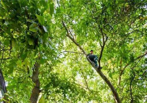 حادثه وحشتناک در نمای برج تجاری تهران؛ بالابر سقوط کرد، کارگری جان باخت