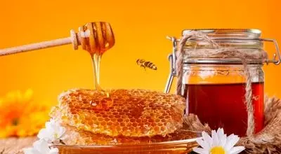 معیار تشخیص کیفیت عسل این ها میباشد!