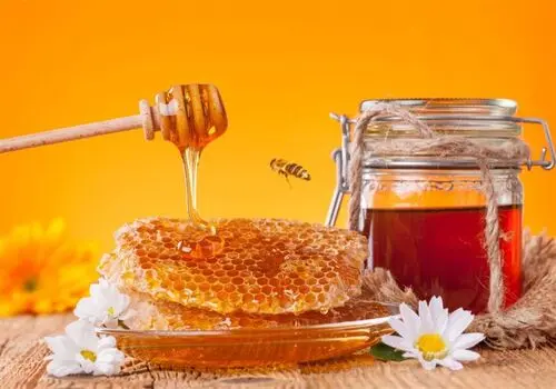 یک قاشق عسل قبل از ورزش چه تأثیری بر بدن دارد؟