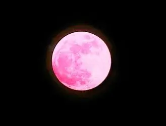 تصاویر شگفت‌انگیز از ماه صورتی در آسمان شب
