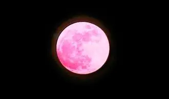 تصاویر شگفت‌انگیز از ماه صورتی در آسمان شب
