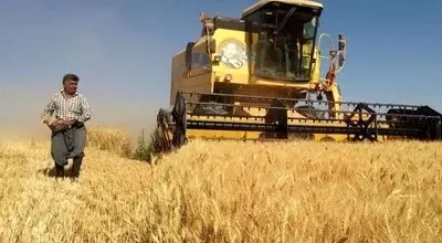 هشدار نمایندگان: تأخیر پرداخت گندم‌کاران، امنیت غذایی را تهدید می‌کند
