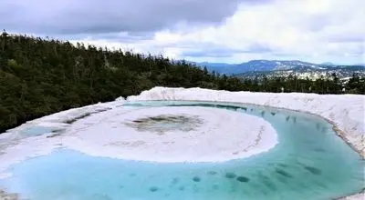 چشم اژدها؛ شگفتی مخفی ژاپن که تنها دو هفته ظاهر میشود + عکس