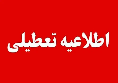 اولین واکنش تنها ایرانی حاضر در فینال جام جهانی/ بین دو نیمه فینال جام جهانی تو ورزشگاه اجرا دارم