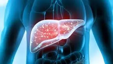 ۷ باور غلط درباره کبد چرب که درمان را به تأخیر می اندازد!
