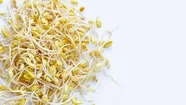 طرز تهیه جوانه گندم با پارچه در منزل